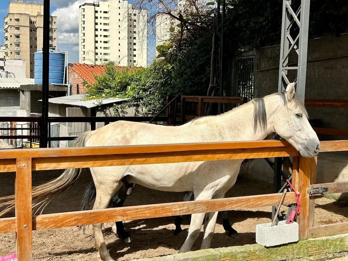 Pousada Casa Da Noiva Villa Guarulhos 0*,  Brazil